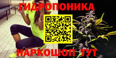PSILOCYBIN Чебоксары