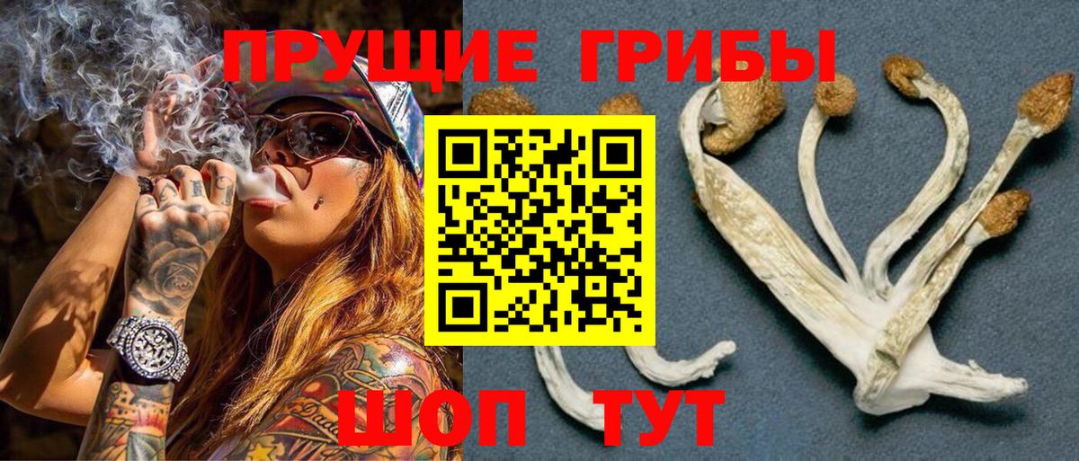 Астрахань  Псилоцибиновые грибы MAGIC MUSHROOMS  Псилоцибиновые грибы Cubensis  Вход с VPN 
